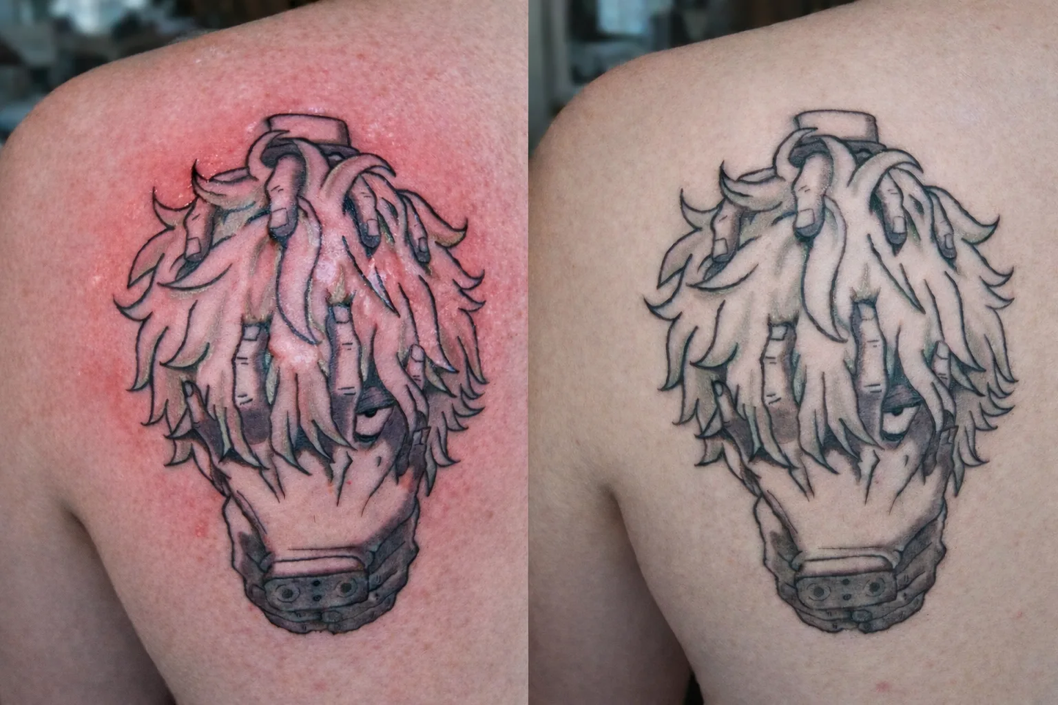 Realizacja Terra Tattoo